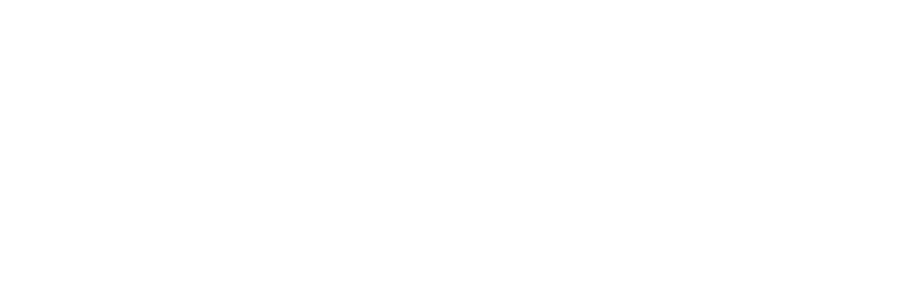 athliance portfolio logo