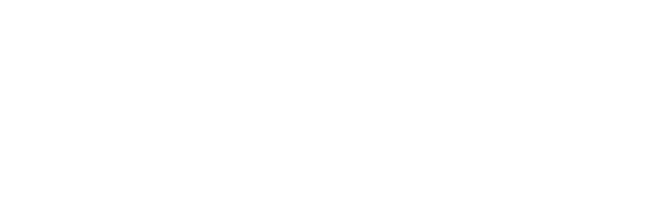 southeastern surveying portfolio logo