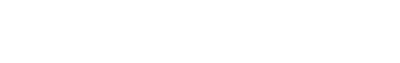 The Washo Law Firm Logo